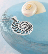Chambered Nautilus Shell Necklace - woot & hammy
