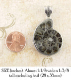 Real Ammonite or Nautilus Shell Fossil Pendant