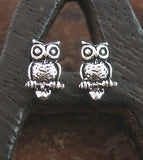 Tiny Owl Stud Earrings