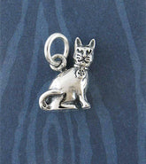 Witch's Mischievous Cat Charm