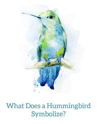 Que symbolise un colibri ? 