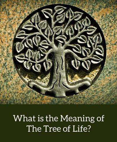 Tree of Life Symbolism & Meaning in Jewelry