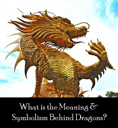 Dragon Symbolism & Meaning