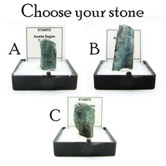 3 Specimens of dark blue green kyanite crystals labeled in plastic boxes with white background