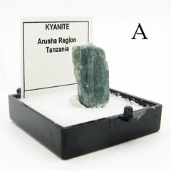 Side view of specimen of dark blue green kyanite crystal labeled in plastic box with white background