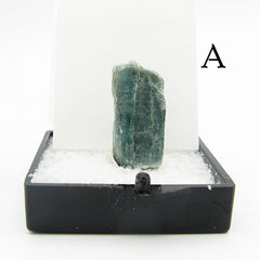 Front view of specimen of dark blue green kyanite crystal labeled in plastic box with white background