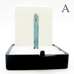 Front view of tall slender blue tourmaline elbaite crystal on stand labeled on white background