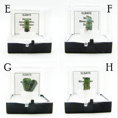 4 different tourmaline elbaite crystals in cases labeled on white background