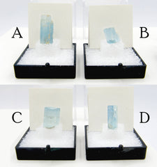 Four different Natural Raw Beryl Aquamarine Crystals with letters indicating Type in black and clear plastic cases against white background