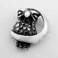 Close-up of a silver owl and crescent moon earring on a white background