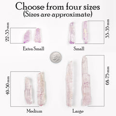 Different sized pieces of natural raw pink Kunzite crystal gemstone arranged according to size next to a dime to show scale on white background