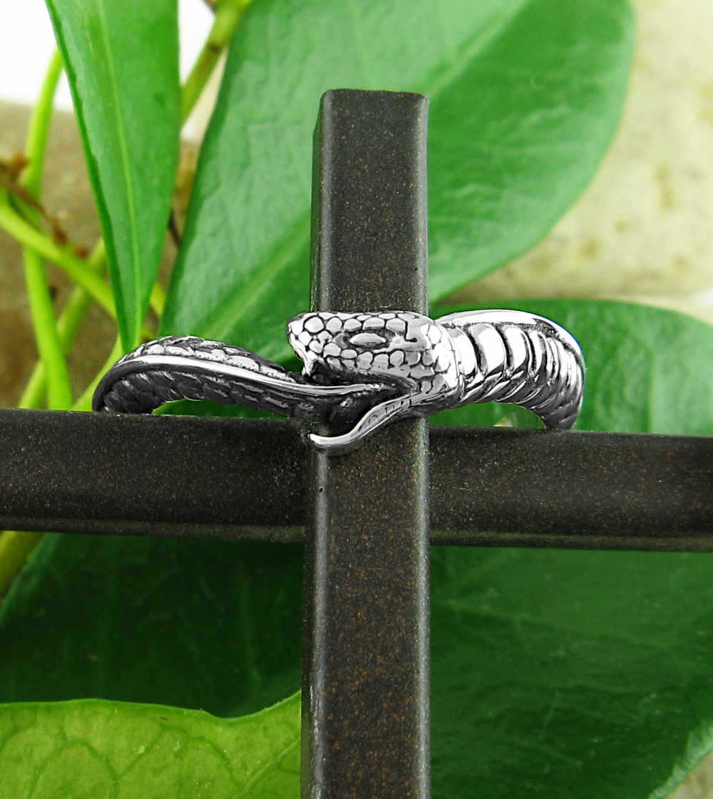 Wavy Ouroboros Snake Oxidized Ring Eternity Rebirth Transformation | Woot & Hammy