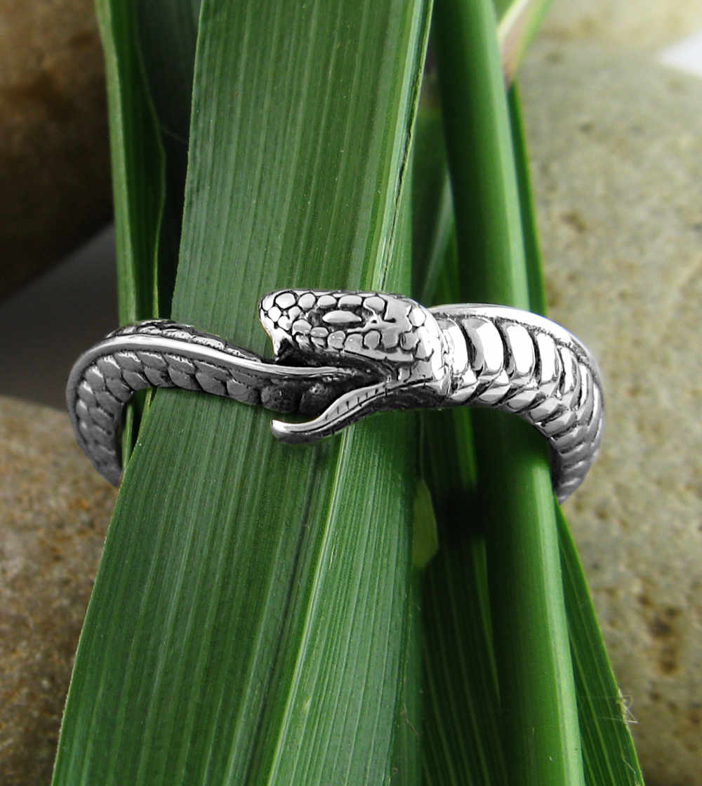 Wavy Ouroboros Snake Oxidized Ring Eternity Rebirth Transformation | Woot & Hammy