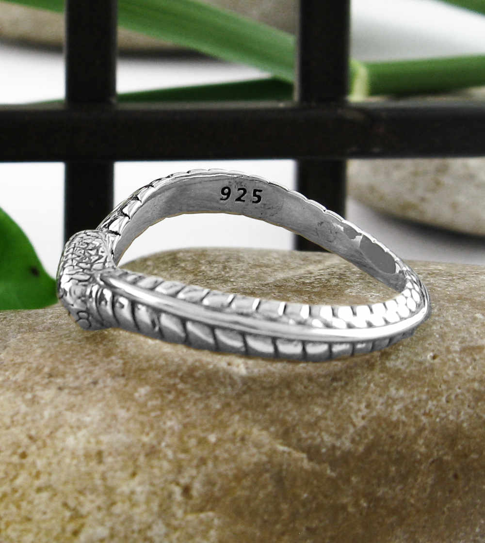 Wavy Ouroboros Snake Oxidized Ring Eternity Rebirth Transformation | Woot & Hammy