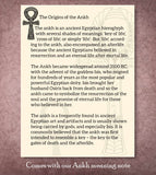 Ancient Egyptian Ankh Symbol of Life Band Ring, Oxidized