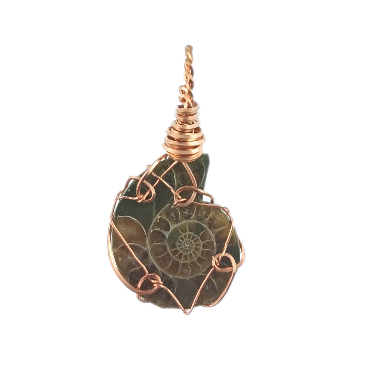 Ammonite Spiral Shell Fossil Pendant Necklace, Copper Wire-Wrapped, Handmade