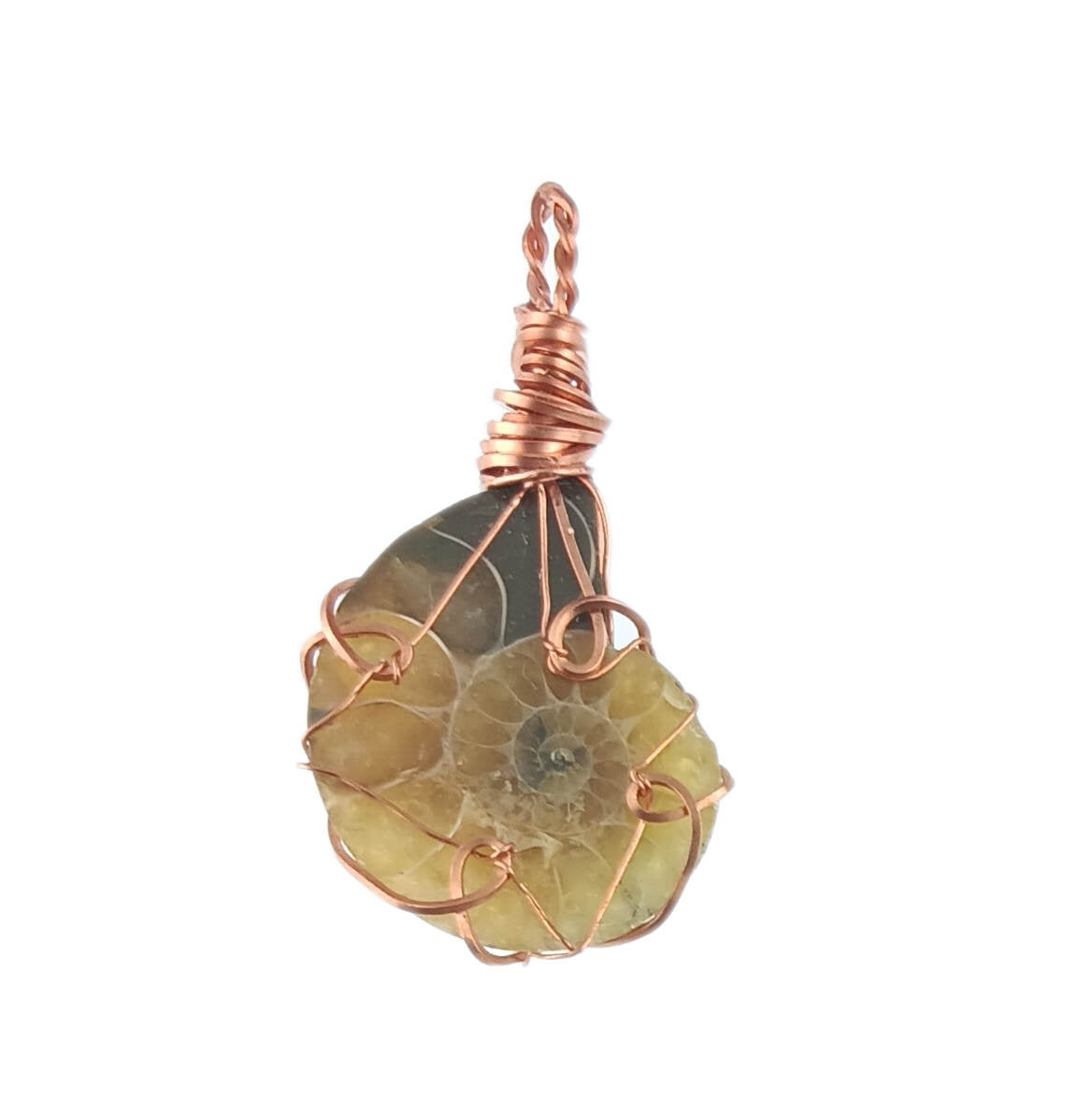 Ammonite Spiral Shell Fossil Pendant Necklace, Copper Wire-Wrapped, Handmade