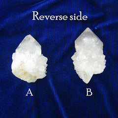 Close up picture of reverse side of two Spirit Quartz crystals labeled and aligned on dark background.