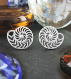 Lacy Cut-Out Nautilus Shell Stud Earrings