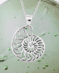 Chambered Nautilus Shell Necklace - woot & hammy