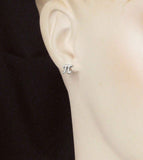 Pi Mathematical Symbol Post Earrings | Woot & Hammy