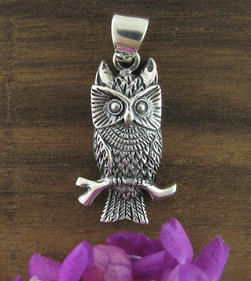 Watchful Horned Owl On Branch Oxidized Pendant | Woot & Hammy
