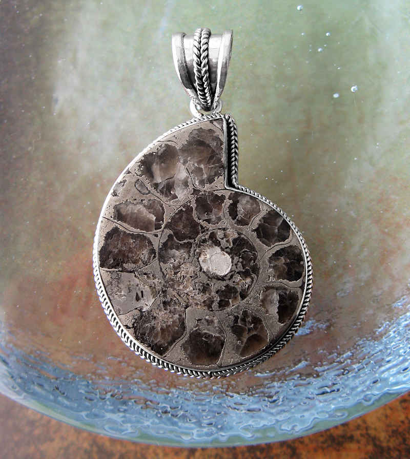 Real Ammonite or Nautilus Shell Fossil Pendant